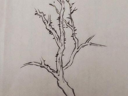 树干起稿画法 #画画