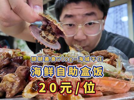 东北20元街边海鲜自助盒饭,虾爬子小龙虾随便吃,太疯狂了! #抖音商城 #美食vlog #东北自助盒饭