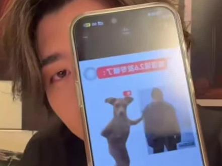 看完不笑的是gay哈哈哈哈哈哈哈哈
都去听蔡徐坤新专辑!!!!#蔡徐坤 #安利 #ikun #蔡徐坤新专辑KUN #音乐