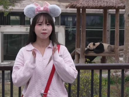 和好闺闺从武汉出发一个多小时到岳阳看大熊猫啦🥺收藏好这份攻略喔#熊猫苑踏春季 #岳阳踏青好去处#春日限定熊猫苑#慢下來看世界記錄自己的足跡 #岳阳旅游