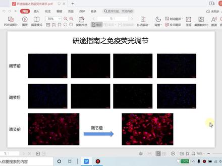 研途指南:ImageJ之免疫荧光调节1 #研途指南 #stupidman #免疫荧光调节 #Image