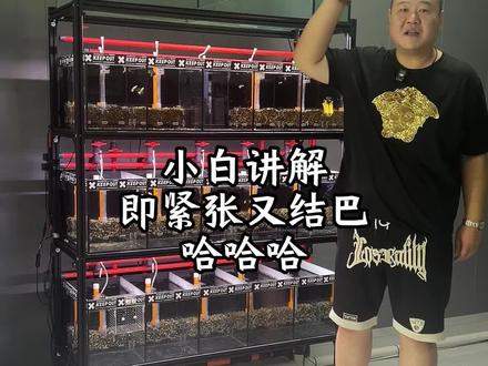 讲的不好大家多多包涵。
