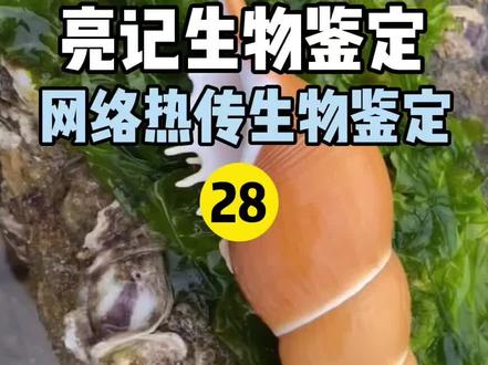 网络热传生物鉴定#亮记生物鉴定#快乐地球上有什么 #我和地球的约定 #抖音全民好书计划