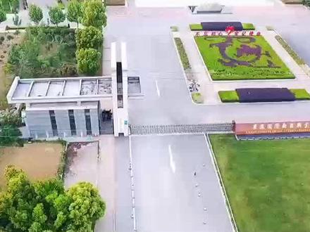 安徽单招院校推荐:安徽国际商务职业学院#安徽单招院校 #安徽单招 #单招倒计时 #安徽分类考试#安徽国际商务职业学院