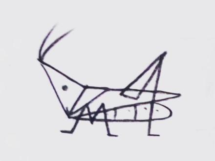 蝗虫简笔画🦗,大家学会了吗~#简笔画的日常 #手绘#原创