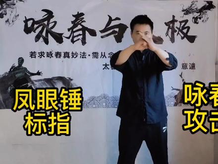 咏春拳狠毒攻击手法 凤眼锤 标指 #传统武术 #咏春 #标指封喉