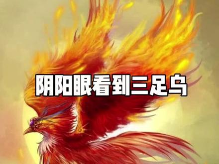 阴阳眼看到三足乌#故事会 #灵异故事