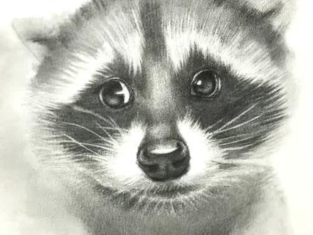 别被这么无辜的小浣熊骗了 #零基础学画画 #素描 #浣熊 #画画教程