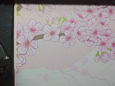 所以你觉得怎么样呢#狼蛛 #狼蛛sc620