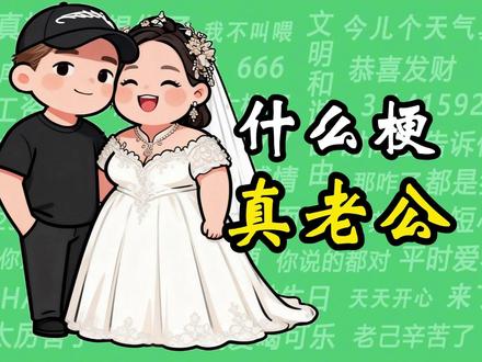 什么梗之“真老公” #真老公 #两性婚姻 #追星 #老公#抖音热点记忆2025
