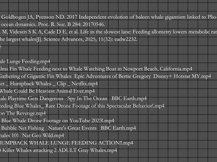 史上最大的动物-蓝鲸 #神奇动物在抖音 #动物世界 #蓝鲸 #科普 #知识前沿派对