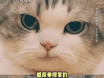当年上课偷吃的经验,如今终于能派上用场了#宁波 #宁波首届偷吃泡饭大赛即将开赛 #搞笑 #离谱 #万万没想到