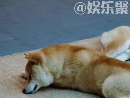 原来这就是男生的心理活动呀!哈哈哈哈哈😂