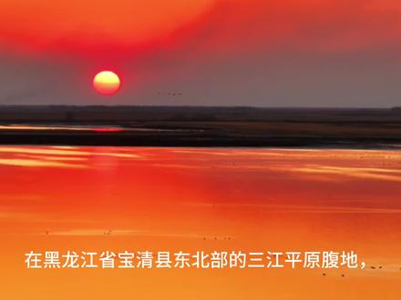在黑龙江省宝清县东北部的三江平原腹地,挠力河、宝清河与镜面湖环抱着一片广袤的土地,这里便是雁窝岛。它并非传统意义上四面环水的岛屿,而是被河流与沼泽环绕的湿地荒原,因春夏秋三季草长莺飞,大雁、仙鹤、天鹅等万千水鸟在此筑巢栖息、繁衍生息,故而得名“雁窝岛”,这片土地,藏着原生态的自然盛景,也镌刻着北大荒开发的不朽传奇,本视频影像由山场卫国提供,感谢他的大力支持#大美龙江#大美宝清#大美湿地#挠力河#雁窝岛@山场卫国