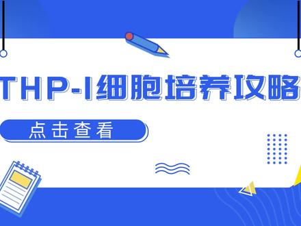 THP-1细胞培养小技巧:
1. 将培养瓶竖立放置,瓶盖朝上,这样可增加细胞局部密度,促进THP-1细胞的增殖。
2. 推荐使用半换液法进行换液,每48小时半换液一次,每7天离心换液一次,减少离心对细胞的损伤,细胞状态会更好哦。
#生命科学 #细胞培养 #胎牛血清 血清#细胞系