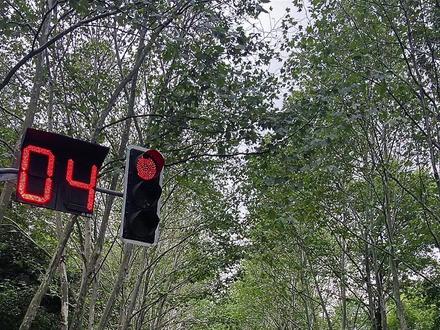 她终于放弃连长夫人这个位置了。他不知道的是,这一次他将失去挚爱。......
1984 年,岭南派出所稀里糊涂被关了四天,才被释放。顾不得委屈,宋知秋拖着疲惫的身体奔回家拿钱。
刚走到家门口,却听见里面传出一一“从南啊,为了把在军服厂常年侵吞军款的人揪出来,我们故意污蔑宋知秋偷公款,让真的小偷放松警惕露出马脚,可算是把人抓住了。”
宋知秋瞳孔一紧,推门的手顿住。“只是宋知秋还不知道,现在这事儿也了了,你要不去派出所接她出来好好解释,毕竟她也受了顿无妄之灾。”无声片刻,沈从南漠然的声音像千万根针刺进她的骨皿。"
不用,让她吃吃苦头也好。握住门把的手缓缓垂落。男人的冷漠如嘲讽的利刃,告诉宋知秋,她的坚持和挽回,是多么可笑。宋知秋凝着眼前的门,白着脸后退几步,落荒而逃。
混混沉沉的回到县医院,却见医生站在病床边,苦口婆心劝着:"您大脑里还残留着皿块,拖得越久,就会引发严重的脑出皿,必须赶快转去首都医院治疗。”老人捏着陈旧褪色的存折,抗拒地摆手:“这钱是我给囡囡存的,我这把老骨头都快入土了,花钱就不值当了......"宋知秋听得心骤然收紧。
“外婆。”她轻轻叫了声,声音沙哑的连自己都认不出。看见她,外婆苍白的脸顿时浮起了笑:“囡囡。”亲昵虚弱的呼唤像槌敲着宋知秋的胸膛,她上前握住老人冰凉枯瘦的手,自责卷着痛占据整颗心。外婆撑着笑,爱怜地摸着她的脸。
看着无言却各自红了眼的祖孙两人,医生于心不忍:"老人家的病情不能耽搁,如果你同意转院,我可以立刻联系首都的医院,今晚六点就能走。”“转!当然要转!麻烦您了!"宋知秋回答的没有一丝犹豫。
几番努力,她才咽下满喉酸苦:"外婆,去首都治病吧,囡囡陪着你,无论花多少。钱,我们都能挣回来,但命只有一条,囡囡不想失去你……"
“听说首都很繁华,我们在那儿工作生活,不回来了好不好?"外婆看着她,明白了什么似的叹了口气:"不回来?你那么爱从南,舍得他吗?"一句轻问如巨石砸在宋知秋心头,疼的泪水滚出眼眶。她摇摇头,泪眼里含着坚决:"我只是明白过来,爱他不会有结果,所以我不爱了,也不要了……”
当天中午,她赶回家属院。翻出沈从南很早之前就准备好的离婚申请表,一字一句签上自己的名字。最后看了一眼屋子,毫不留恋的关上了门。傍晚六点,她带着外婆,头也不回地踏上前往首都的火车。
#虐到心碎 #已完结#小说推荐#文荒推荐
