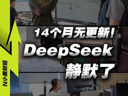 为何DeepSeek,迟迟不发新模型? #AI新星计划 #DeepSeek #人工智能 #媒体精选计划