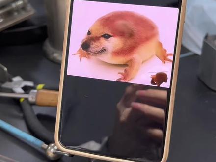 用玻璃烧的我的刀盾狗 #烧玻璃 #我的刀盾 #青年创作者成长计划 #meme #柴犬