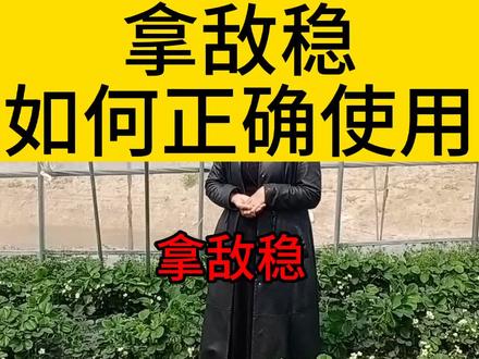 拿敌稳如何正确使用,你还用对了嘛#关注我每天为你分享更多农业知识 #农业种植 #了解种植技术点红心关注