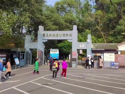 重庆抗战遗址博物馆:昔日战时国府首都,今日抗战纪念基地。#重庆 #历史 #遗址 #博物馆 #展们走 #红色记忆