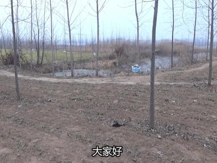 水面结冰怎么办?我这个方法很简单!2厘米厚的冰冻照样开 #户外钓鱼 #钓鱼人 #钓鱼