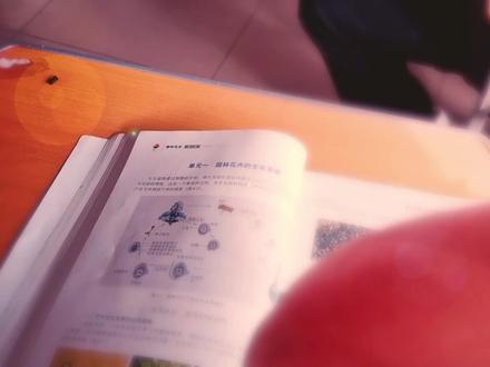 今天课上做了个奇怪的梦#ae#爱丽丝#碧蓝档案#二次元 #调色