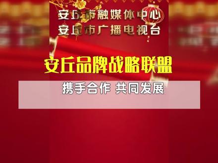 安丘品牌战略联盟——携手合作 共同发展