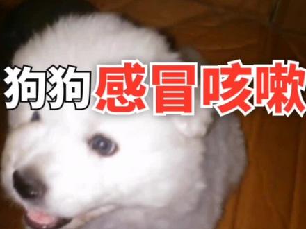 幻塔自选ssr为啥没了 91d197c4f0729b9b4402bb1c12498d81~tplv-dy-resize-origshort-autoq-75:330.jpeg?x-expires=2005585200&x-signature=Lp9Blm3WZwhhKRTh8Xk7Al9fib0%3D&from=3213915784&s=PackSourceEnum_AWEME_DETAIL&se=false&sc=cover&biz_tag=pcweb_cover&l=20230725032611F336D9B7C36AD93409F8