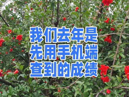 第一时间,既能查到高考成绩,又能查到成绩及各科排名的方式,看这里#高考 #2023年高考 #高考成绩 #查分时刻