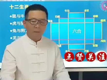 十二生肖“六合”#国学智慧 #传统文化