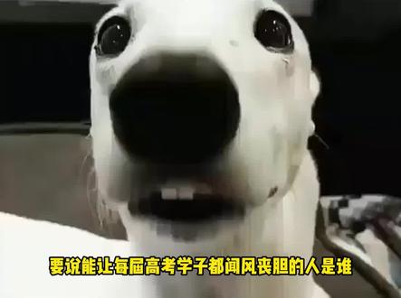 葛军一个让高考数学水平平均的人#葛军 #高考