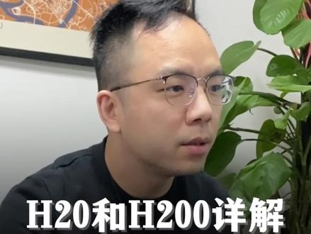 唉~英伟达的中国特供版芯片H20才发布,最强AI芯片H200又出来了,是怎么回事?有什么影响?一次说清楚。#科技 #芯片 #人工智能 #财经 #知识领航者 @老麦·深度思考 @王煜全