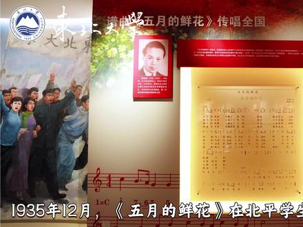 五月的鲜花不仅是暮春五月东大校园中盛开的繁花,更是东北大学赓续百年的青春风骨与赤子情怀完美共鸣!#东北大学 #五月的鲜花 #百年名校 #爱国主义光荣传统 #985