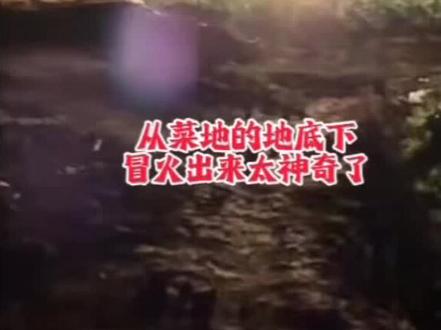 #叙白 天降奇火!南充蓬安徐家镇的乡村菜地,深夜从地底下还在燃起大火,大火已经烧了好几天了,既无外露管道,也无引火明火,这桩怪事究竟谁能解?
夜色如墨,静谧田间被烈焰撕破沉寂,橙黄火苗喷涌而出,熊熊火光映红整片夜空,灼热气浪直扑面门。周边是绿油油的蔬菜,远处水塘与树木在火光中若隐若现,画面透着诡异又震撼的气息。
路过的村民纷纷驻足惊呼,围着这团“不灭火”议论不休,没人能说清火源来历,只觉眼前一幕神奇又不可思议。