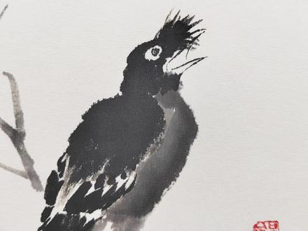 一分钟学会画八哥#创作灵感 #抖出我的艺术 #原创作品 #一起学画画 #八哥