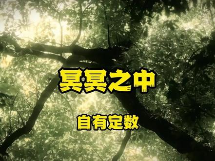 冥冥之中,自有定数
#冥冥之中#自有定数#缘来缘去