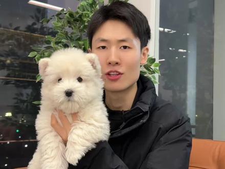 为什么只有狗狗天生对人类喜欢? 为什么要养狗?#新手养狗#养狗人 #狗狗