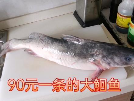 18块一斤,五斤重的鮰鱼,味道鲜美,肉肉超多