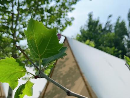 嗨森艺术营地🏕️曲水名苑现已开放预约!
无动力乐园免费畅玩🎢,遛娃撒欢超省心~
今年新增特色成长体验板块🎖️,搭配超嗨户外团队对抗🔫,玩耍中收获胆量与默契~趣味研学课程即将上线📖。
露营、研学、拓展一站式安排,亲子出游、团队聚会都合适,想来玩的朋友随时咨询~#亲子露营 #带娃露营 #带宝贝们去露营 #亲子露营互动 #亲子露营美好瞬间