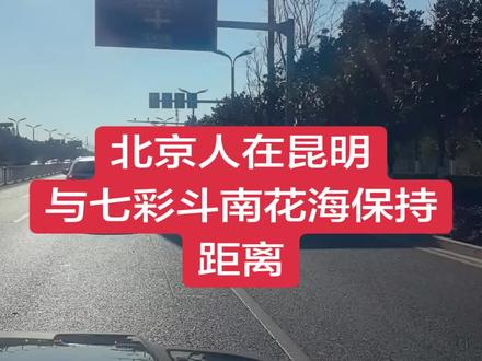 如果你在昆明,七彩斗南花海值得一来。花正开得烂漫,只是记得,让美留在它该待的地方,我们远观、欣赏,不带走一片花瓣,也不留下一道踩痕 #七彩云南 斗南七彩花海 #昆明 #昆明鲜花 #昆明旅游