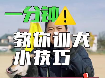 当只狗也不容易,看脸色、挨巴掌,完事再扣顶大帽子,一个字,绝 #宠物知识#训犬#萌宠出道计划#狗狗#知识创作人