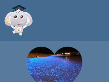 浪漫的#厦门蓝眼泪 又来了!你知道蓝眼泪是怎么形成的么…#蓝眼泪#厦门#荧光海#科普
