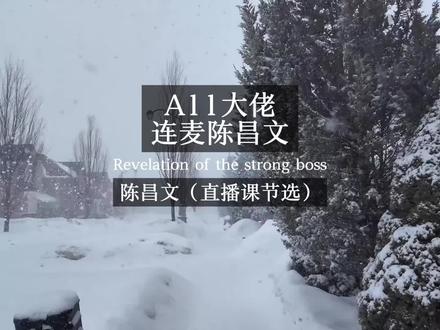 a11大佬连麦陈昌文