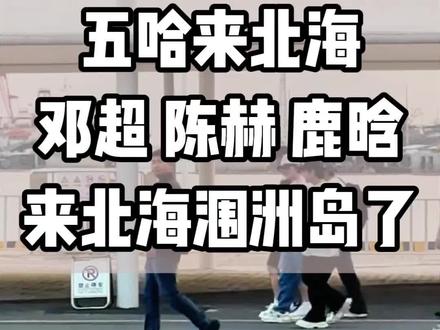 陈赫、邓超、鹿晗来北海涠洲岛录制综,19-21号在涠洲岛的可以偶遇了#北海 #陈赫 #邓超 #鹿晗 #五哈