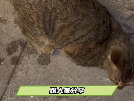 拜托!我可是把我的下饭博主都安利给你们了!@福富饭子 @酒鬼大人 尊的很搞笑~~#安利 #搞笑 #中二 (最后酒鬼大人的同人图来自:@黏黏有🐟 )