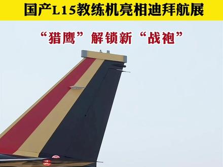 国产L15教练机亮相迪拜航展,“猎鹰”解锁新“战袍”