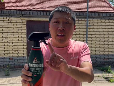 天气热了苍蝇蚊子乱飞,试试这杀虫剂没有刺鼻气味,大容量还好用#杀虫剂