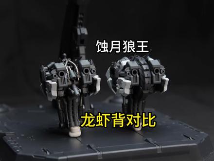 蚀月狼王,龙虾背对比
#蚀月狼王 #巴巴托斯