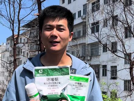 不同含量,不同剂型的环嗪酮怎么选,怎么用?#环嗪酮 #环嗪酮除大树竹子灌木杂草 #环嗪酮除草剂 #环嗪酮省心省力一次解决