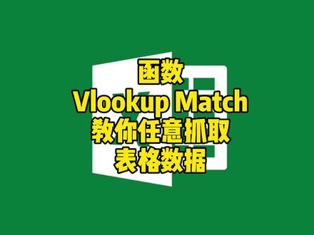#excel #excel技巧 #excel函数 #wps 用VLOOKUP+match抓取任意表格数据